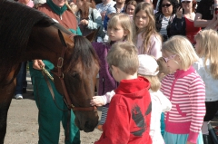 Maharajah TK-dag 2011-7